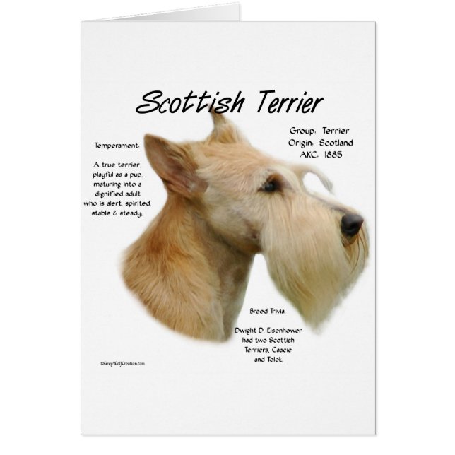 Histoire écossaise à Wheaten (Devant)