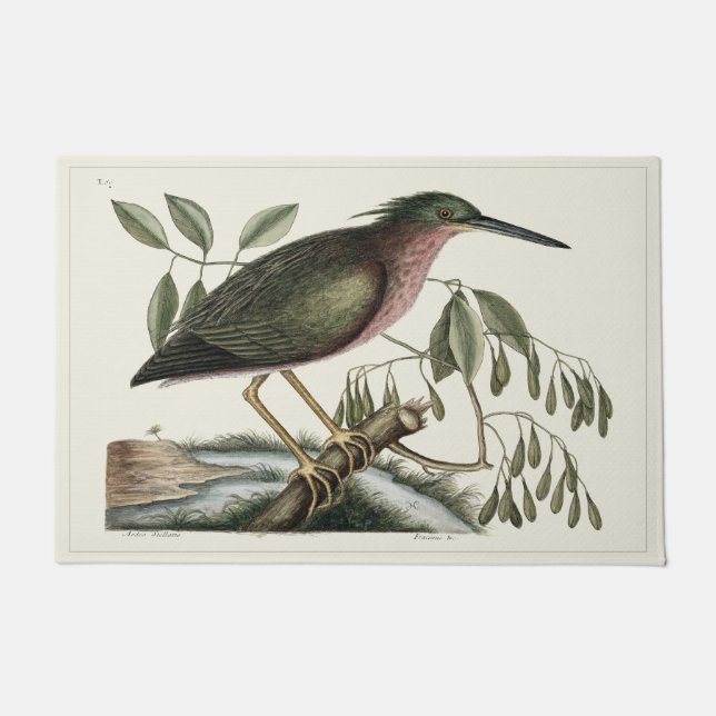 Histoire naturelle 24" x 36" natte de tapis de (Devant)