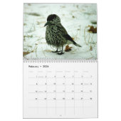 "Histoires d'oiseaux" Calendrier photo d'oiseaux (Feb 2026)