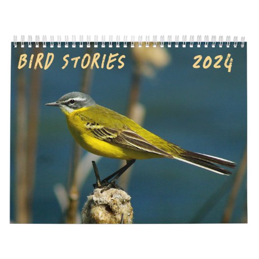 "Histoires d'oiseaux" Calendrier photo d'oiseaux (Protection)