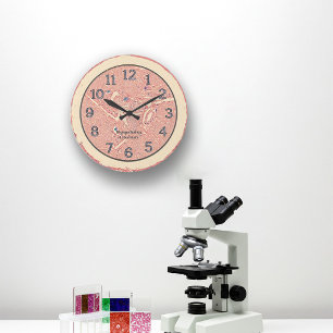 Histologie graft wandklok grote klok