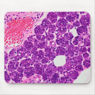Histology Art - Mousepad Muismat