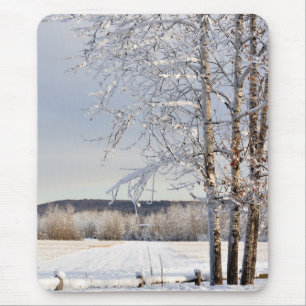Historic Dairy Boerderij Field in Winter - Alaska Muismat