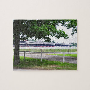 Historic Saratoga and Clare Court Legpuzzel