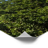 Historic St. Augustine, vuurtoren van Florida Poster (Hoek)