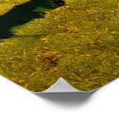 HISTORISCH NEWNAN POSTER (Hoek)