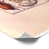 historische 1920 Insects Poster (Hoek)