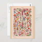  historische bloemen briefkaart (Voorkant / Achterkant)
