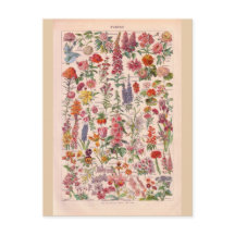  historische bloemen
