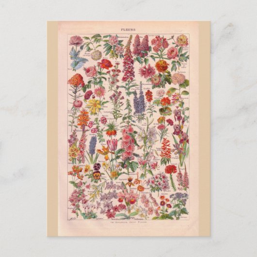  historische bloemen briefkaart (Voorkant)