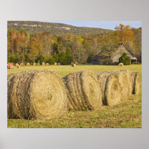Historische boerderij in de Buffalo National River Poster