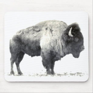 Historische foto van American Bison Muismat
