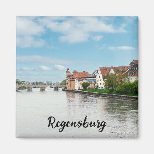 Historische oude binnenstad van Regensburg, Duitsl Magneet