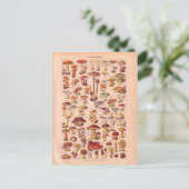 historische paddenstoelen briefkaart (Staand voorkant)