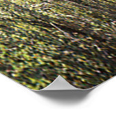 Historische potato Creek Log Cabin..... Poster (Hoek)