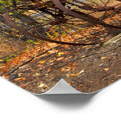 Historische tractor... poster (Hoek)