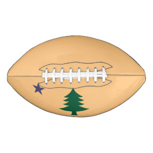Historische vlag van het Football Maine (1901-1909