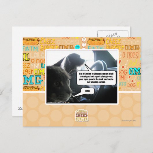 Hit het. briefkaart (Voorkant / Achterkant)