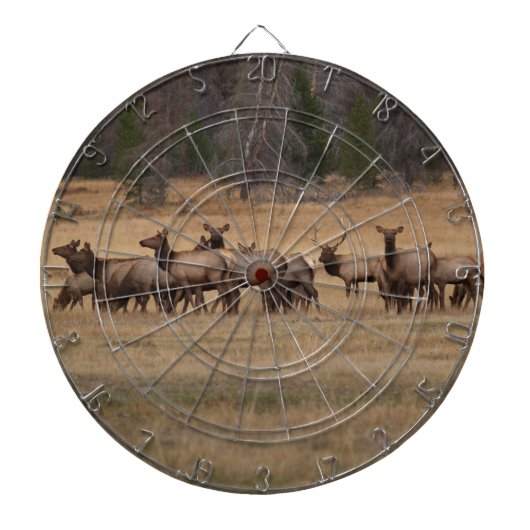 HIT HET Elk Dart Board Dartbord (Voorkant)