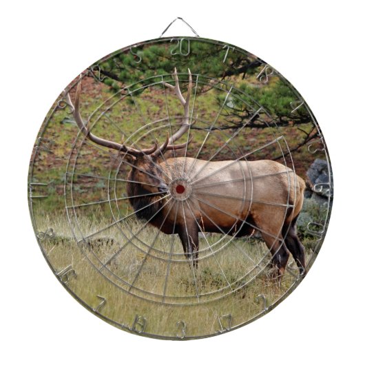 HIT HET Elk Dart Board Dartbord (Voorkant)