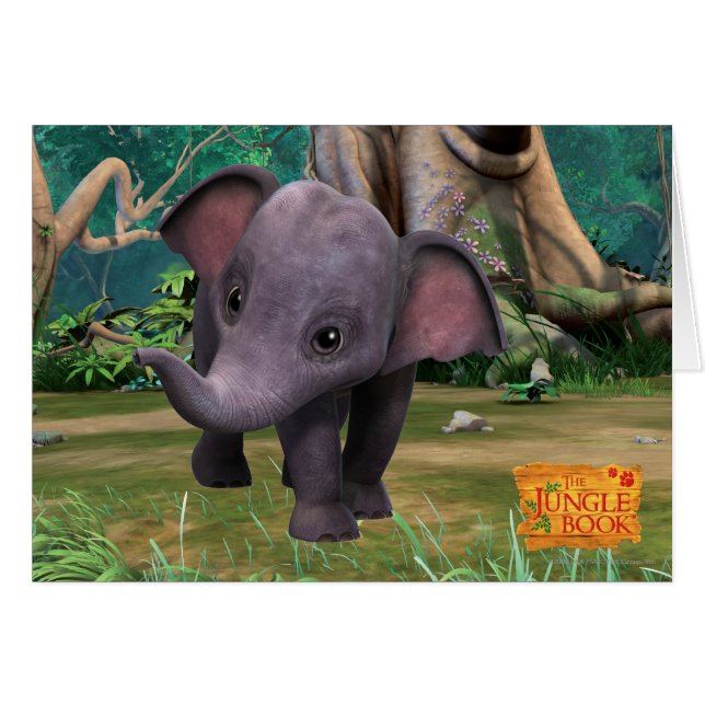 Hita (Devant horizontal)