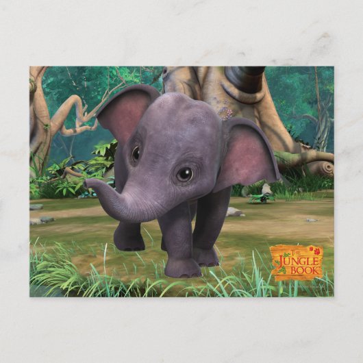 Hita Briefkaart (Voorkant)