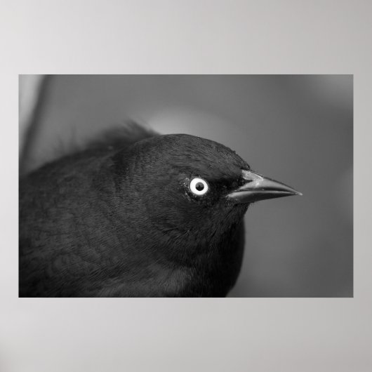 Hitchcock Poster (Voorkant)