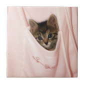 Hitchhiking Tegeltje (Voorkant)