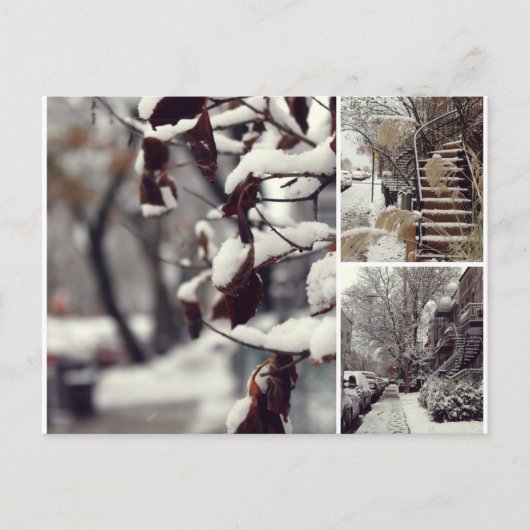 Hiver Briefkaart (Voorkant)