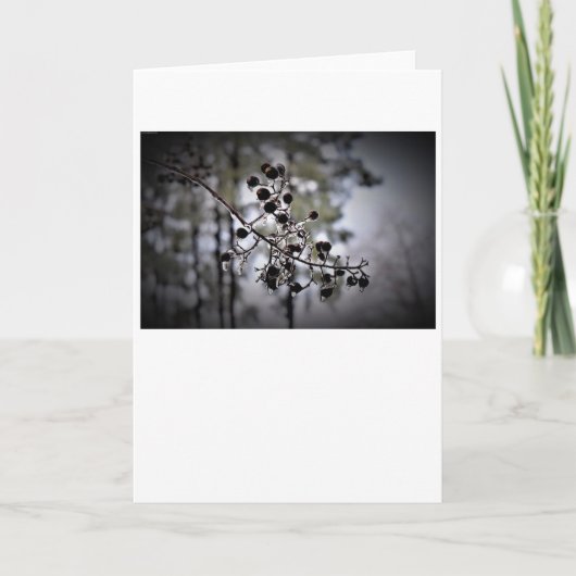 Hiver, carte (Devant)