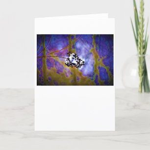 Hiver, carte