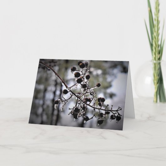 Hiver, carte (Devant)