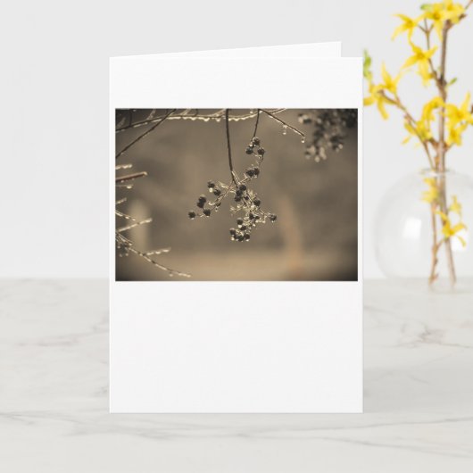 Hiver, carte (Fleur jaune)