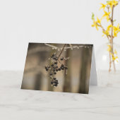 Hiver, carte (Fleur jaune)