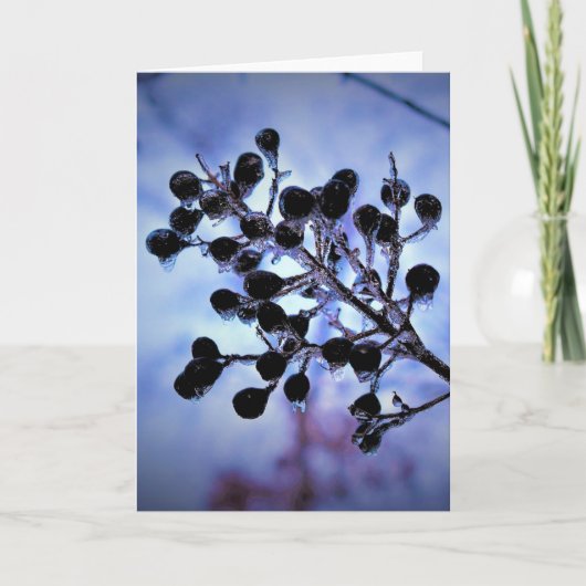 Hiver, carte (Devant)