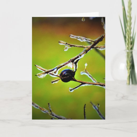 Hiver, carte (Devant)