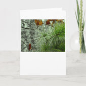 Hiver, carte (Devant)