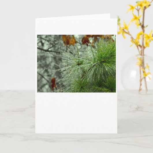 Hiver, carte (Fleur jaune)