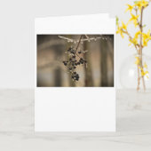 Hiver, carte (Fleur jaune)