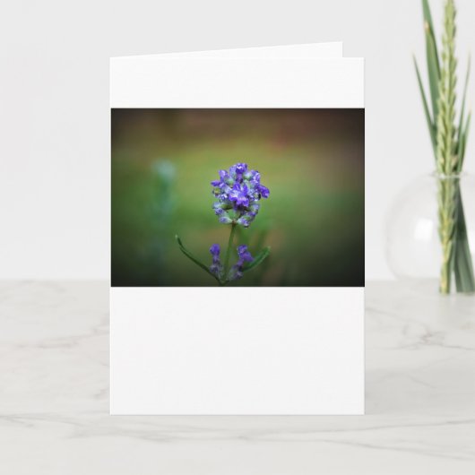 Hiver, carte (Devant)