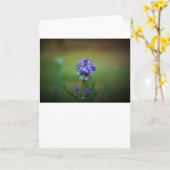 Hiver, carte (Fleur jaune)