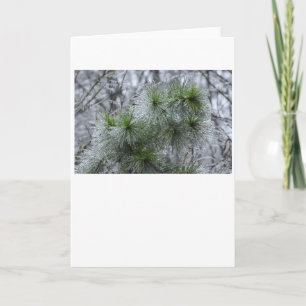 Hiver, carte