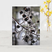 Hiver, carte (Fleur jaune)