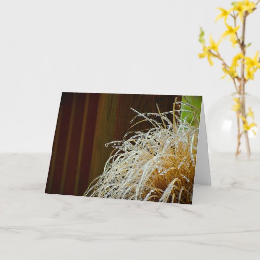 Hiver, carte (Fleur jaune)