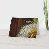 Hiver, carte (Devant)