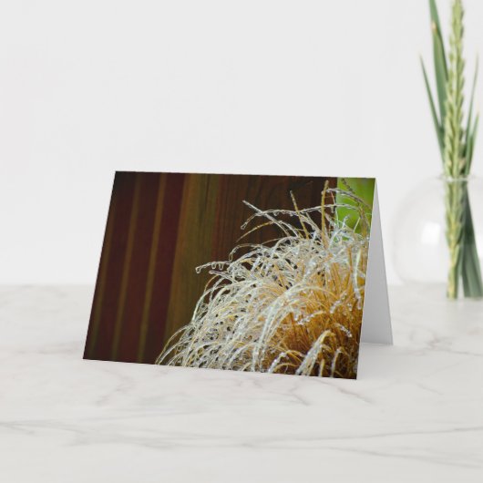 Hiver, carte (Devant)