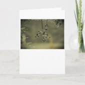 Hiver, carte (Devant)