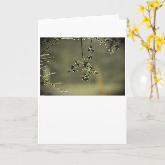 Hiver, carte (Fleur jaune)