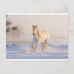Hiver, carte postale