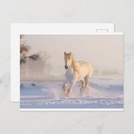 Hiver, carte postale (Devant / Derrière)